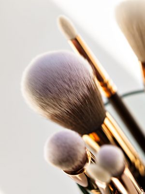 Professional make-up brush